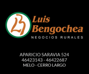 Escritorio Luis Bengochea