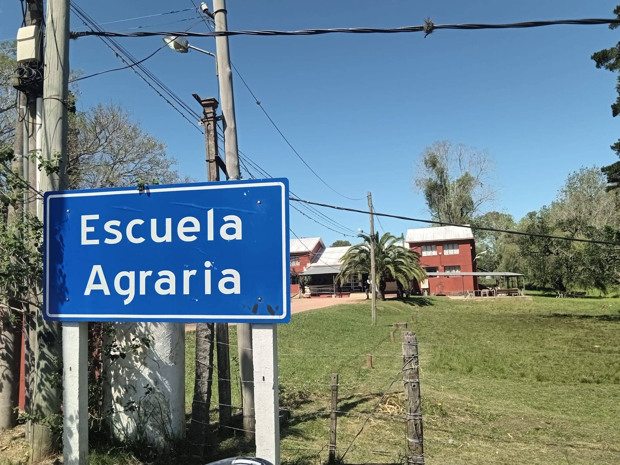 Fondo