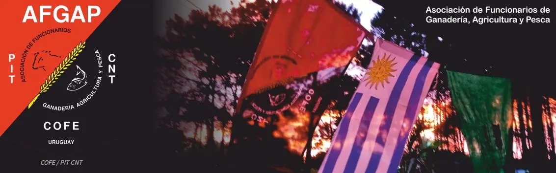 Fondo