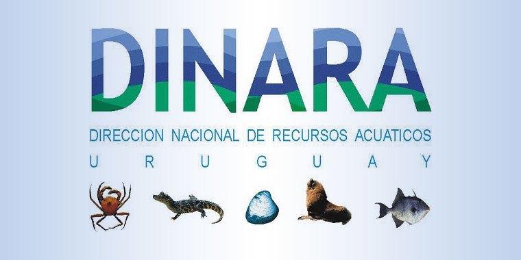 Fondo