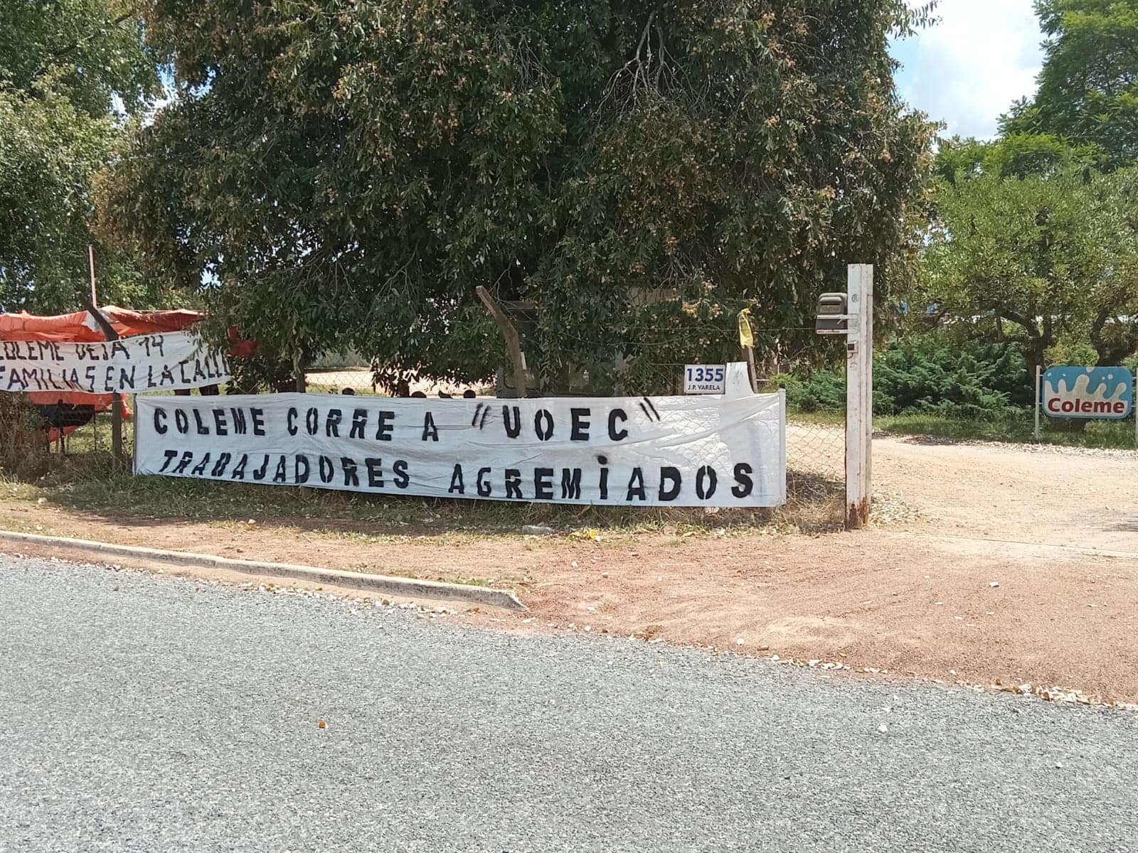 Fondo