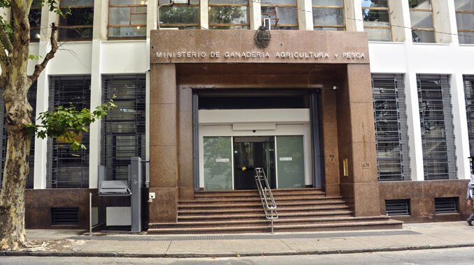 Desde la Dirección de Desarrollo Rural del Ministerio de Ganadería definen los lineamientos generales del trabajo a realizar