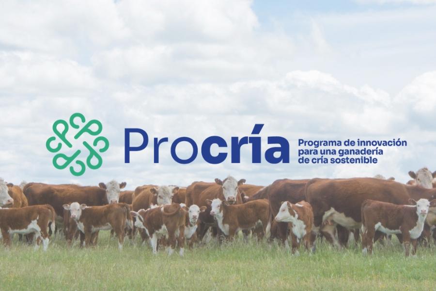La Sociedad Agropecuaria de Cerro Largo apoya el plan procría que instrumenta el Ministerio de Ganadería