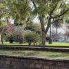 Un hombre resultó lesionado al protagonizar un confuso altercado registrado ayer en Plaza Independencia