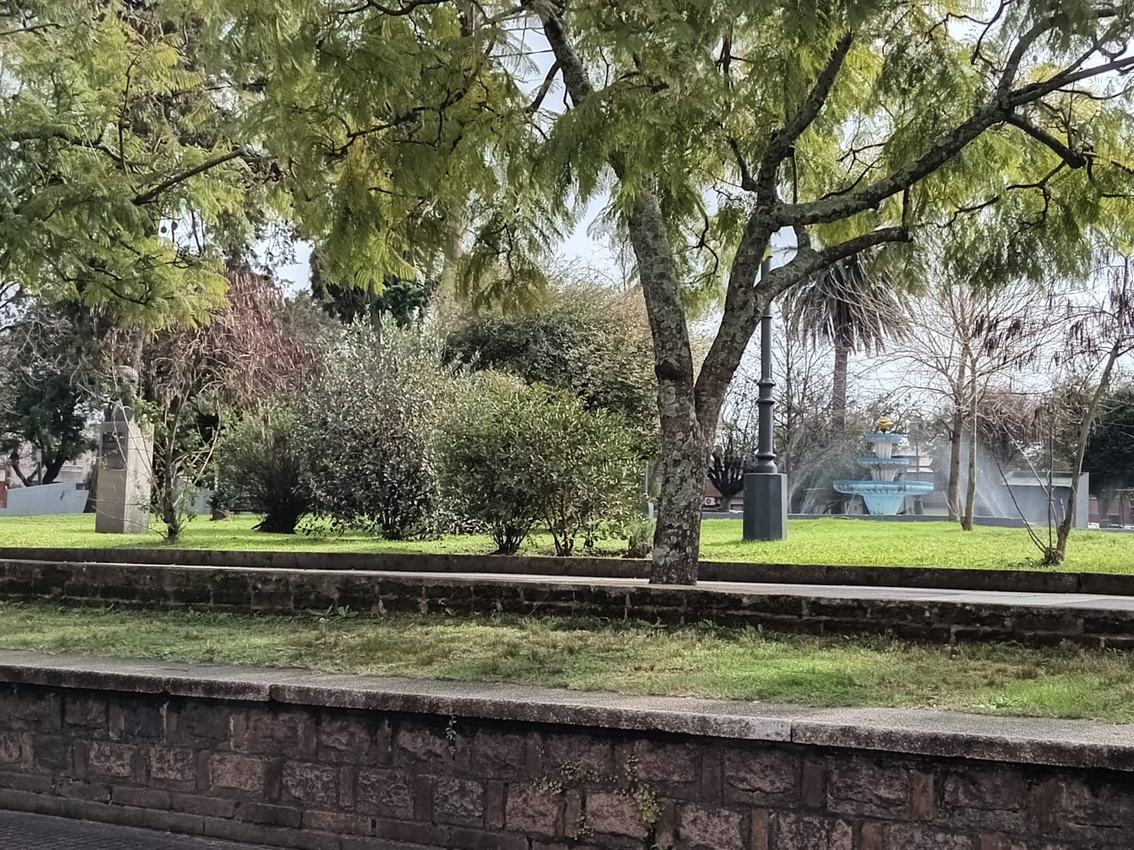 Un hombre resultó lesionado al protagonizar un confuso altercado registrado ayer en Plaza Independencia