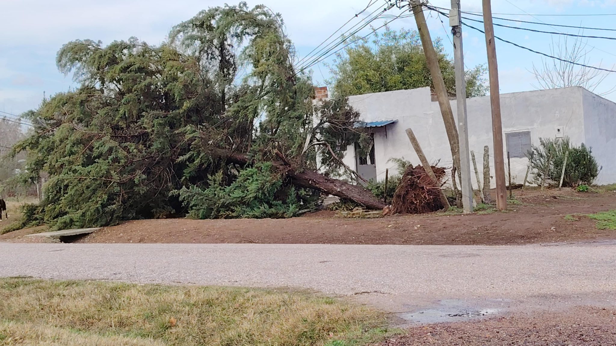 Varios daños fueron registrados como consecuencia del fuerte temporal de lluvia y viento que azotó parte de Cerro Largo durante esta madrugada