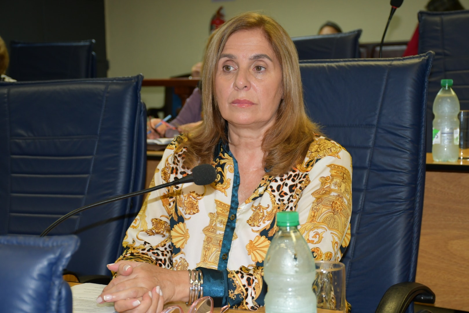 “Las medidas instrumentadas por la anterior administración municipal en materia de transito tenían un estudio y un sustento técnico” sostuvo la edil Teresita Vergara