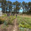 El mes de la agroecológica se celebra en todo el país