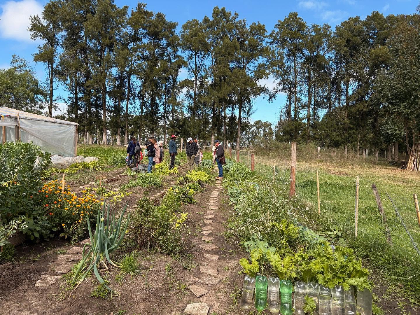 El mes de la agroecológica se celebra en todo el país