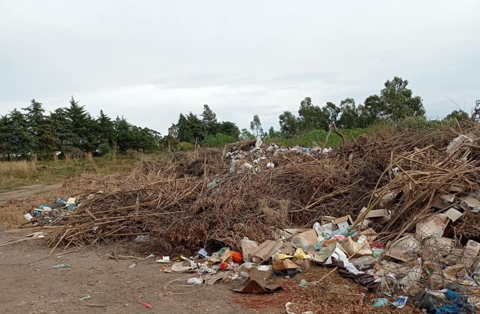 Una situación ambiental y sanitara complicada presenta el Municipio de Tupambaé