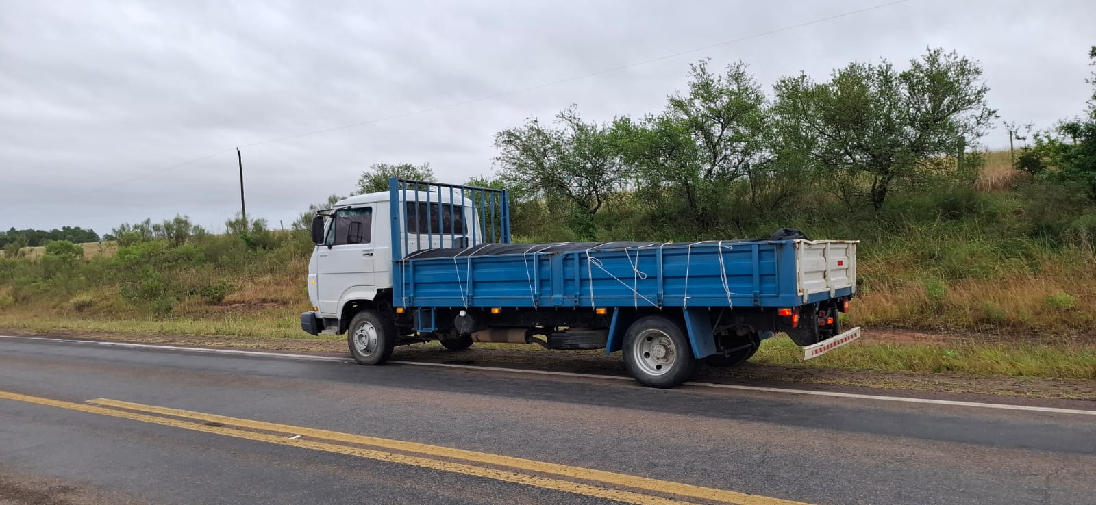 Autoridades incautan más de 3 toneladas de pollo de contrabando sin refrigeración en Ruta 7