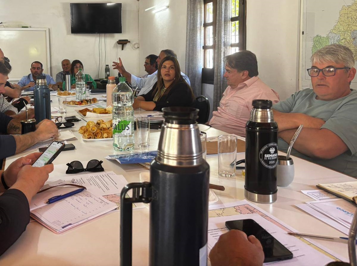 “Para los municipios no será sencillo hacerse cargo de la caminería rural”