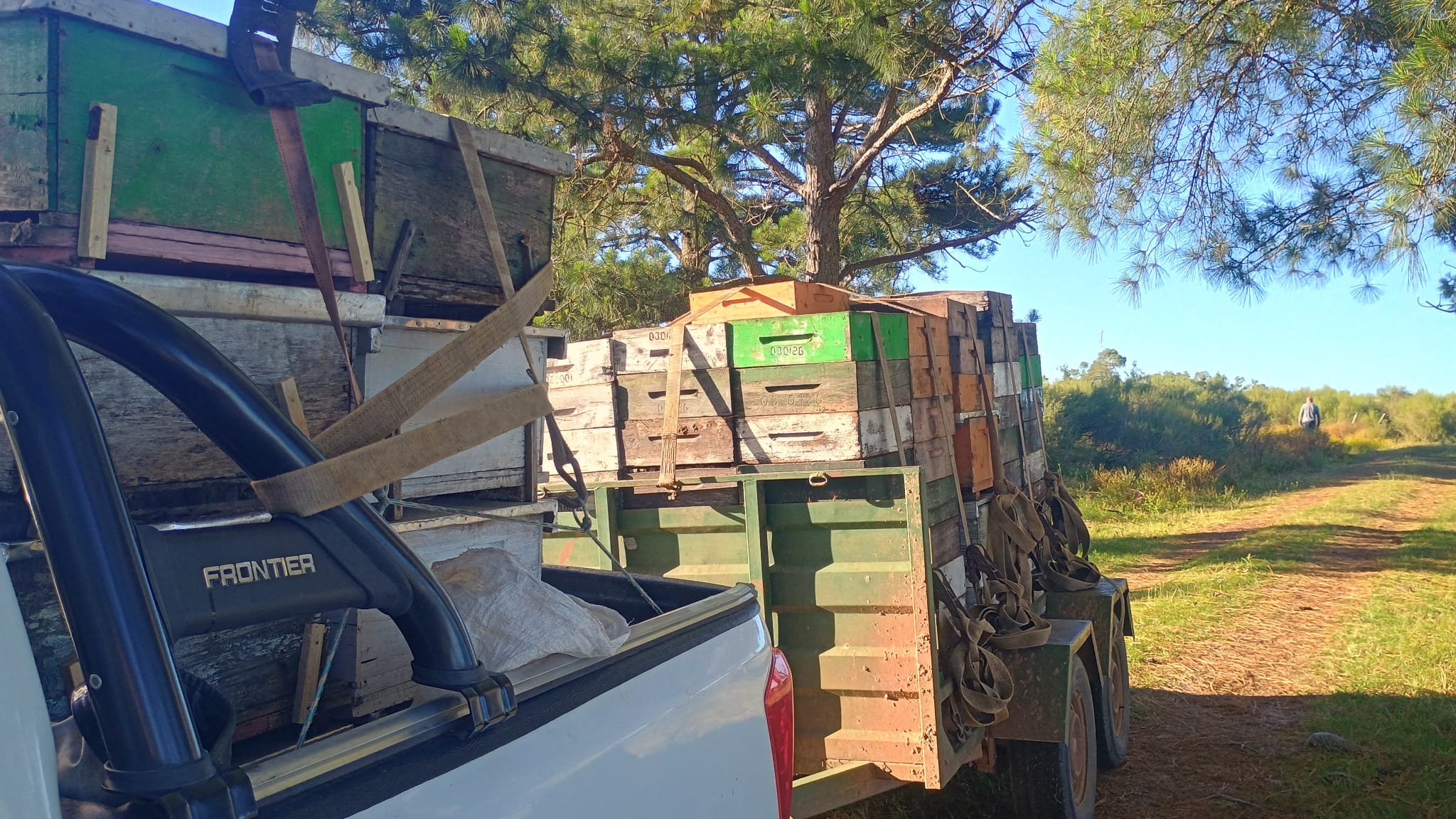 Más miel de Cerro Largo será exportada a otros países