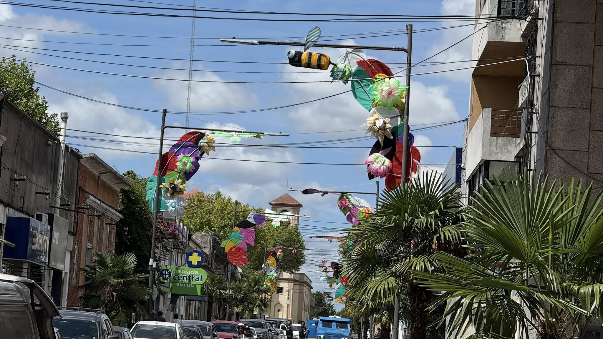 Calle Aparicio Saravia se engalana para carnaval
