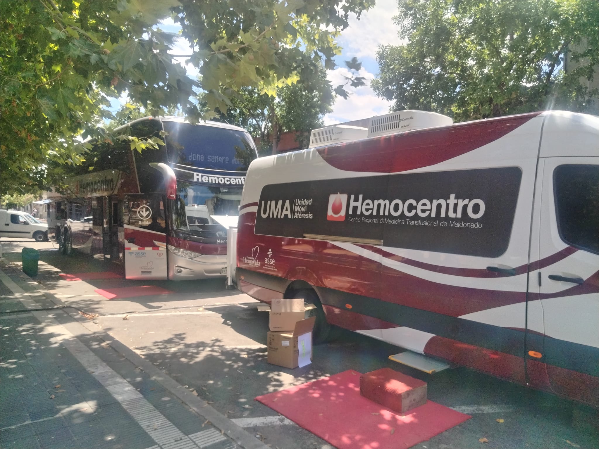 Iniciar las obras del Banco de Leche Materna esta dentro de las prioridades definidas para este año por la Fundación Hemovida