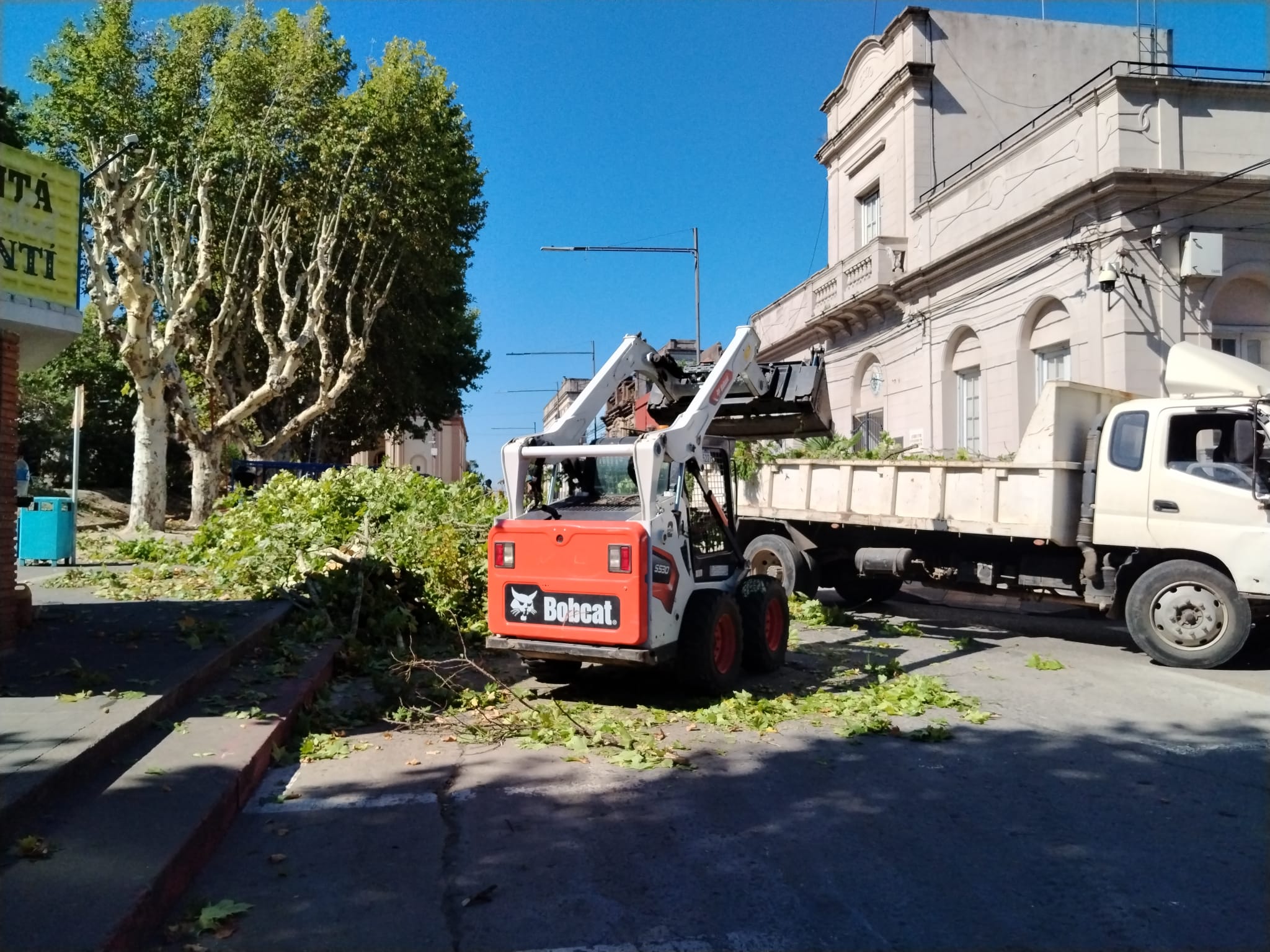 La intendencia interviene en el ornato público frente a Plaza Constitución.