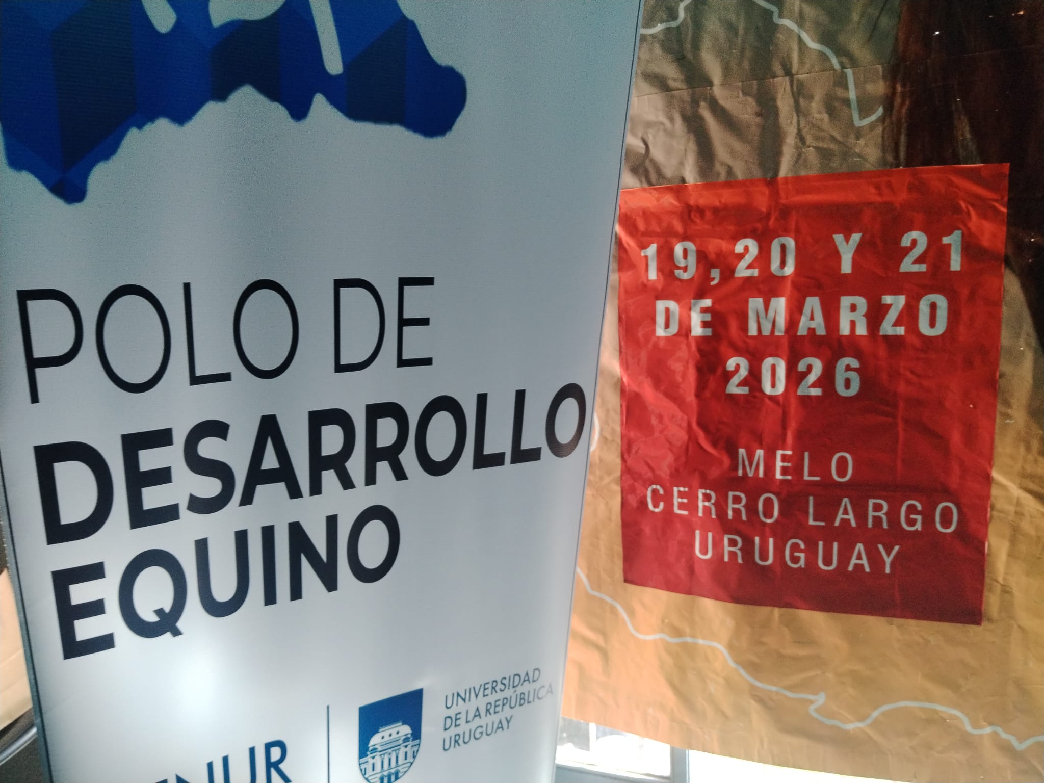 La competencia desleal de veterinarios argentinos y brasileños que ingresan a Uruguay a trabajar preocupa a los profesionales de esta rama de la actividad