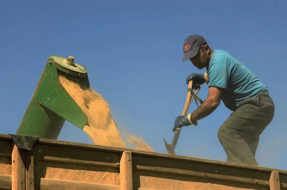 El Sindicato de Trabajadores Rurales reivindica las condiciones ambientales en que se desarrollan las plantaciones de arroz