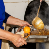 Con normalidad funciona el servicio de alimentación de la Intendencia