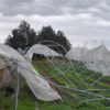 Pequeños productores ubicados en cercanías a Melo por ruta 44 se vieron afectados por el temporal del fin de semana