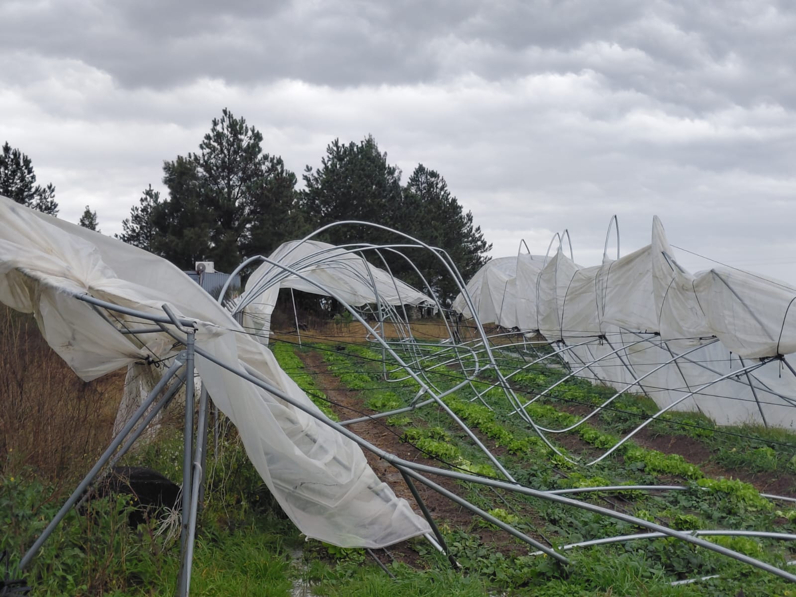 Pequeños productores ubicados en cercanías a Melo por ruta 44 se vieron afectados por el temporal del fin de semana
