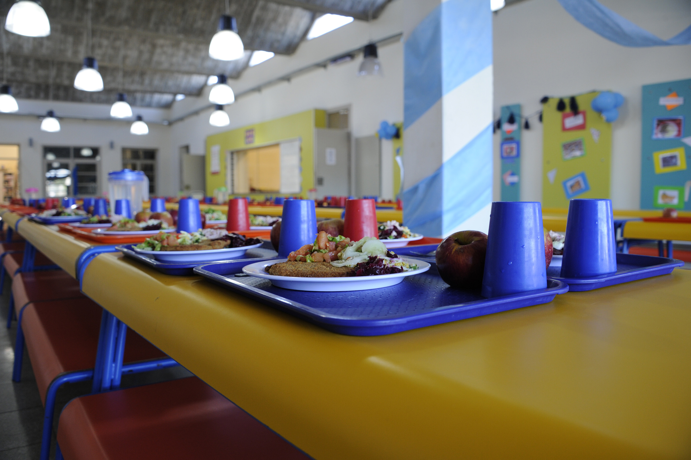 El 50 % de los inscriptos previamente están asistiendo a los comedores de Primaria en Cerro Largo
