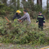 El Comité Departamental de Emergencia se encuentra relevando los daños originados por el temporal de esta jornada