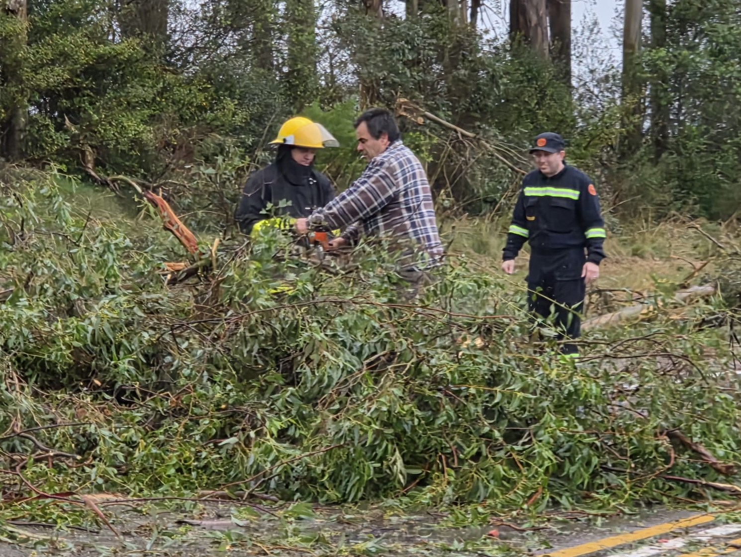El Comité Departamental de Emergencia se encuentra relevando los daños originados por el temporal de esta jornada