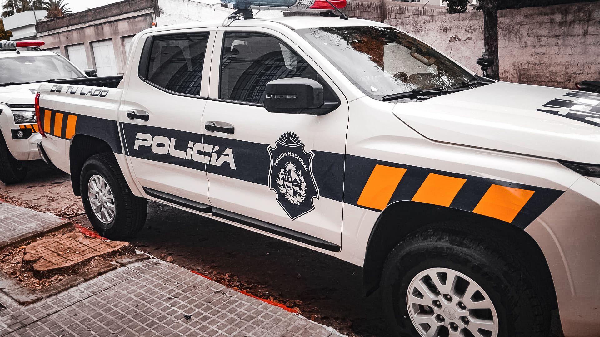 La policía investiga un nuevo ataque de perros a ovinos en la zona de ruta 8