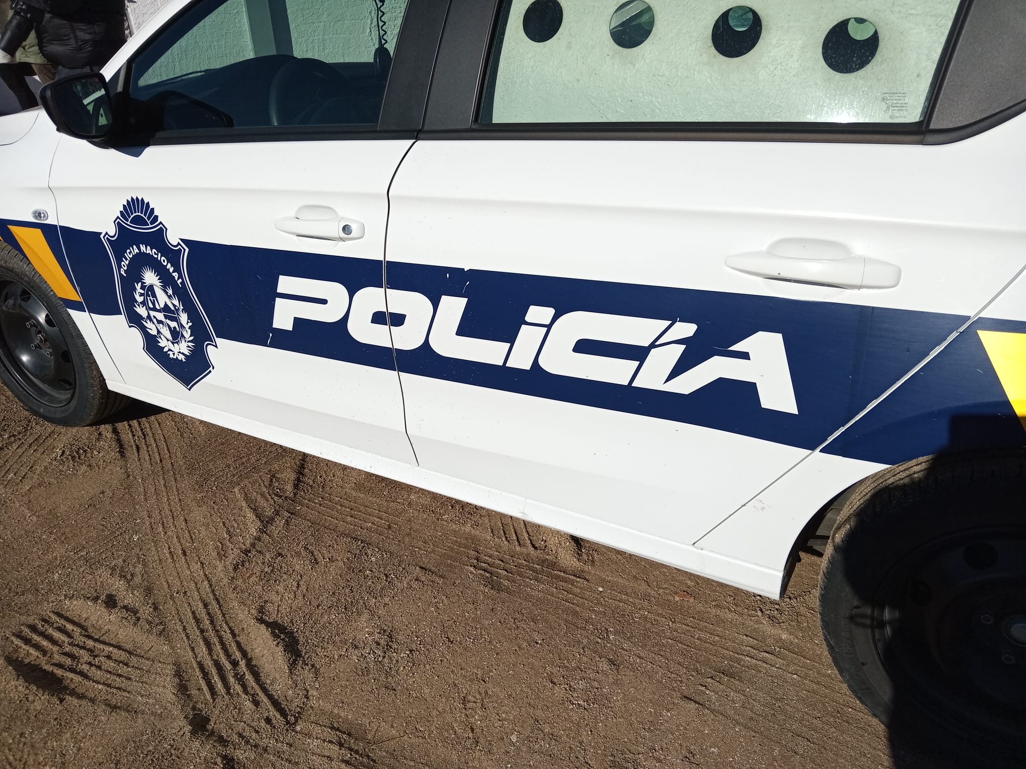 Nuevo ataque de los perros de La Pedrera
