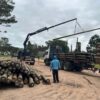 El Municipio de Laguna Merín prepara una fuerte intervención en materia de alumbrado público