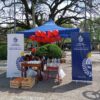 Plaza Constitución fue sede hoy de la principal actividad en el marco de la Semana del Corazón