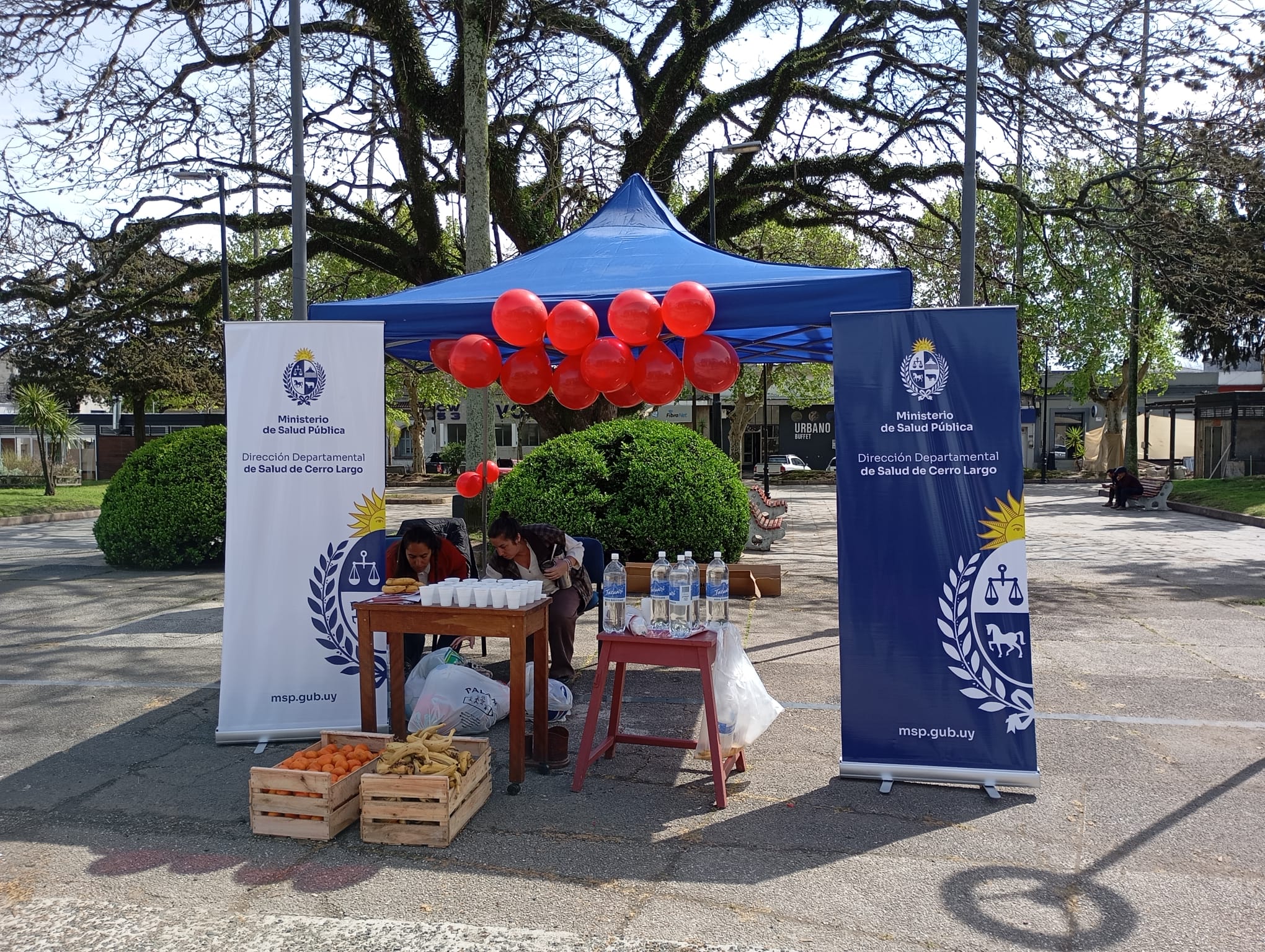 Plaza Constitución fue sede hoy de la principal actividad en el marco de la Semana del Corazón