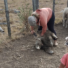 “Con el coraje de ayer y la fuerza de hoy, la mujeres rurales llevamos adelante nuestra labor en el campo”, dijo Lorena Fregueiro