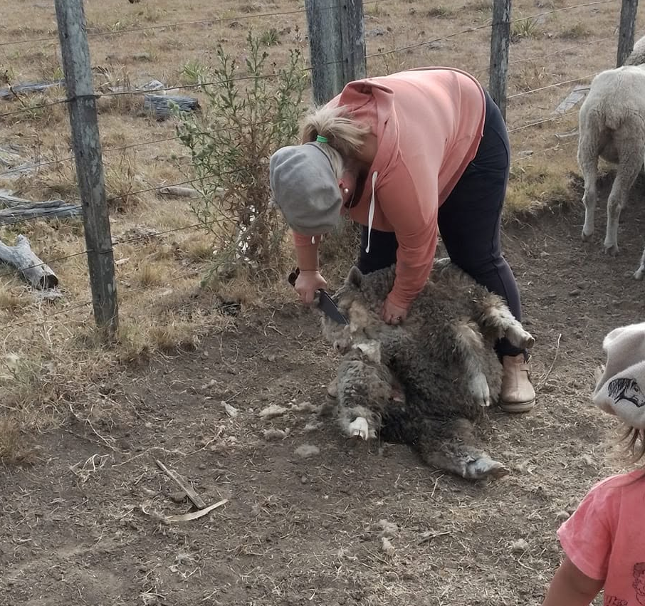 “Con el coraje de ayer y la fuerza de hoy, la mujeres rurales llevamos adelante nuestra labor en el campo”, dijo Lorena Fregueiro